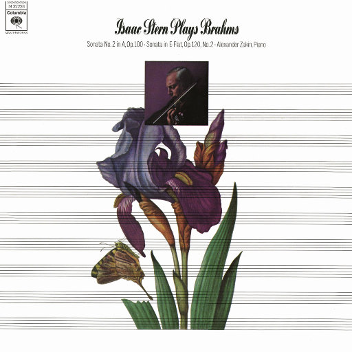 美女高潮喷水视频不卡在线观看
